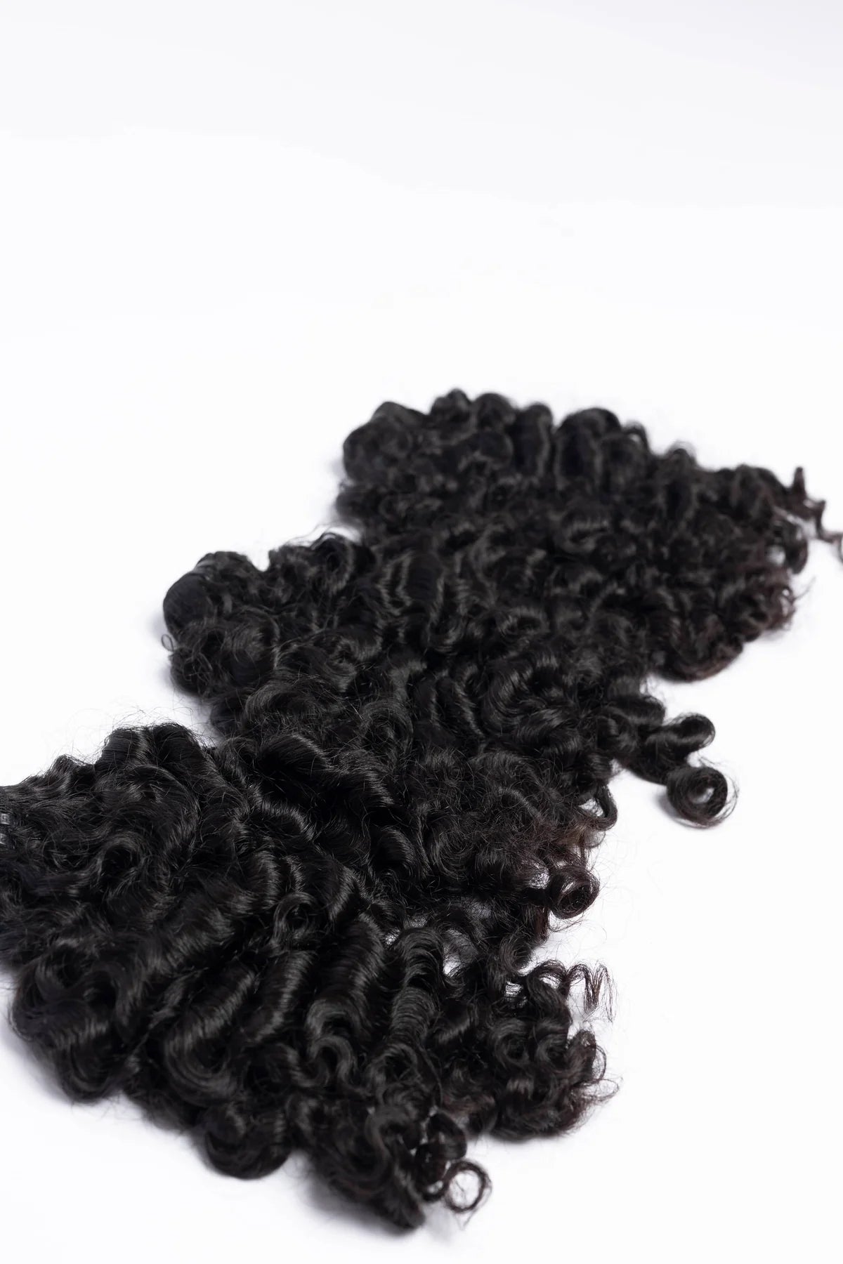 RAW  Burmese Curly