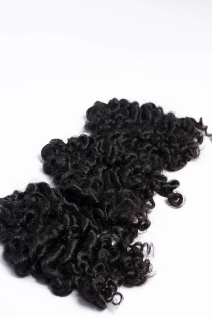 RAW  Burmese Curly